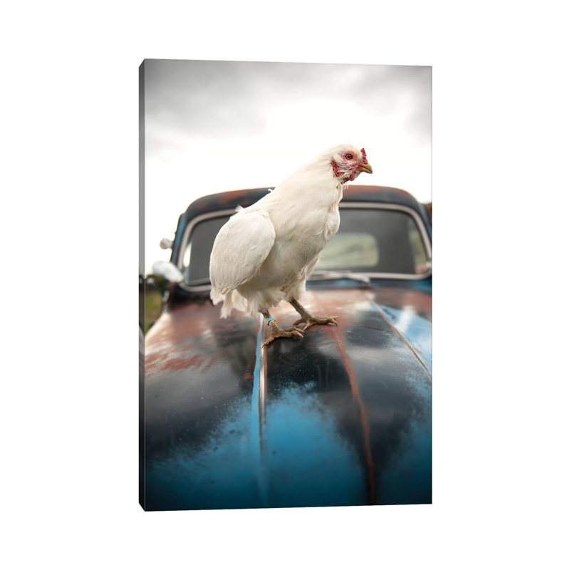 Storm Chicken - Wrapped Canvas Print, 66.04 cm H x 45.72 cm W