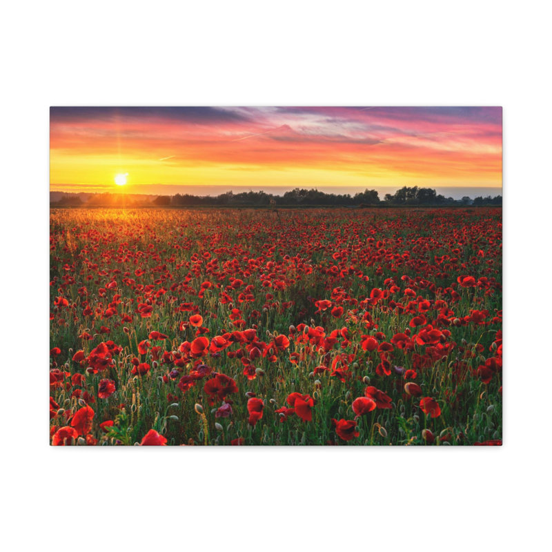 No Frame Print on Canvas, 12cm H x 18cm W