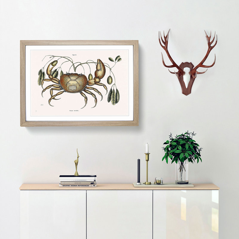 Land Crab by Mark Catesby - Picture Frame Painting Print, Oak Framed, 62cm H x 87cm W x 2cm D