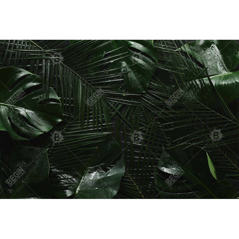 Toile jungle tropicale - décoration florale et botanique exotique