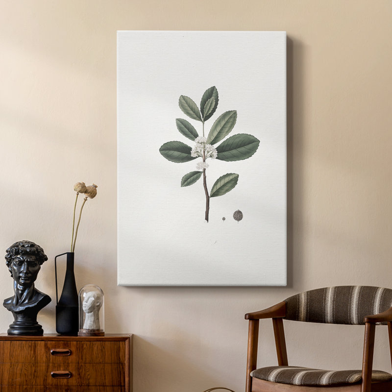 Imprimé floral rétro CLxxxxi - galerie Cavas sur mesure, H 60 po x l 40 po