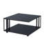 Gawin Coffee Table with Storage
