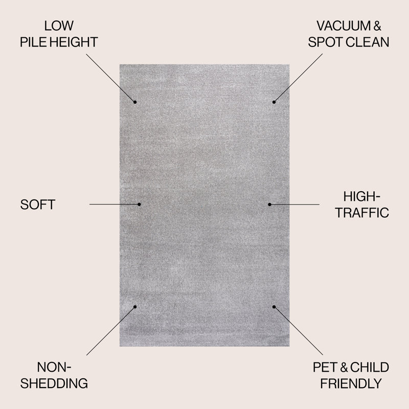 Asaiah Solid Low-Pile Light Gray Rug, Rectangle 4' x 6'