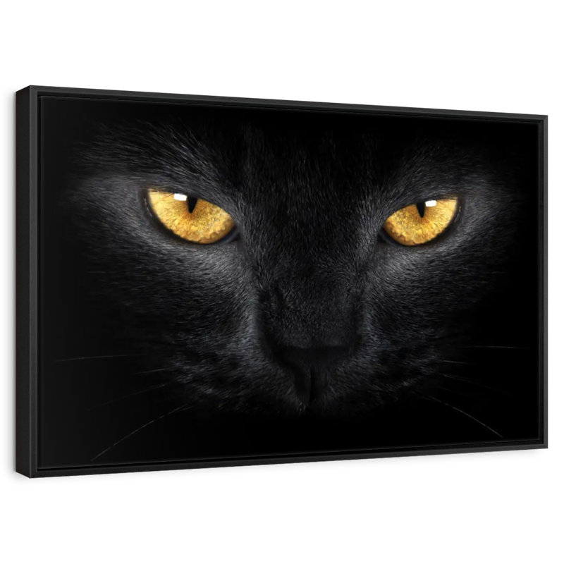 Chat aux yeux jaunes, Cadre flottant noir, 40 po x 27 po