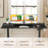 Ergonomic Electric Standing Desk With Drawers: Adjustable Height For Living Room/Bedroom/Office/Study Room-1578207757