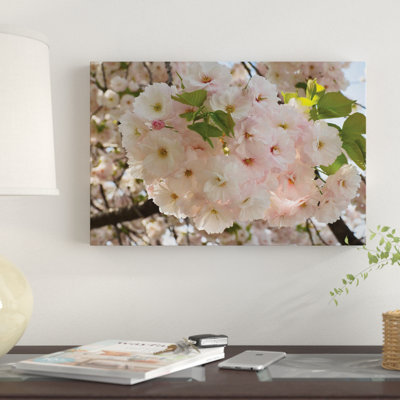 Gros plan sur des fleurs de cerisier blanc, jardin impérial - reproduction de photo sur toile tendue
