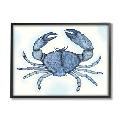 Crabe bleu, mer de griffes