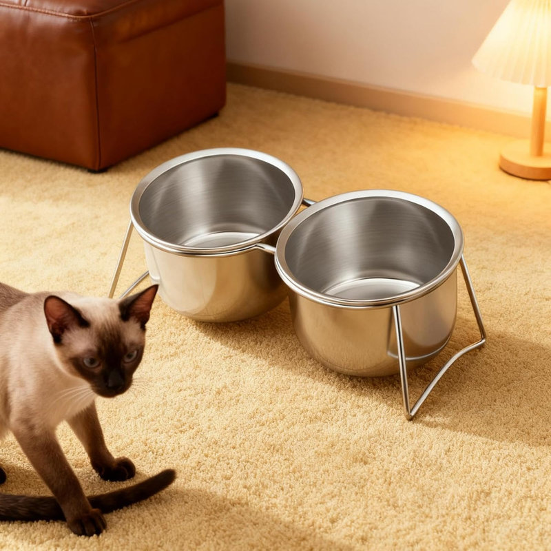 Bols pour animaux de compagnie à double couche inclinable avec support antidérapant à base stable pour chiots, chats, chats, 1100 ml
