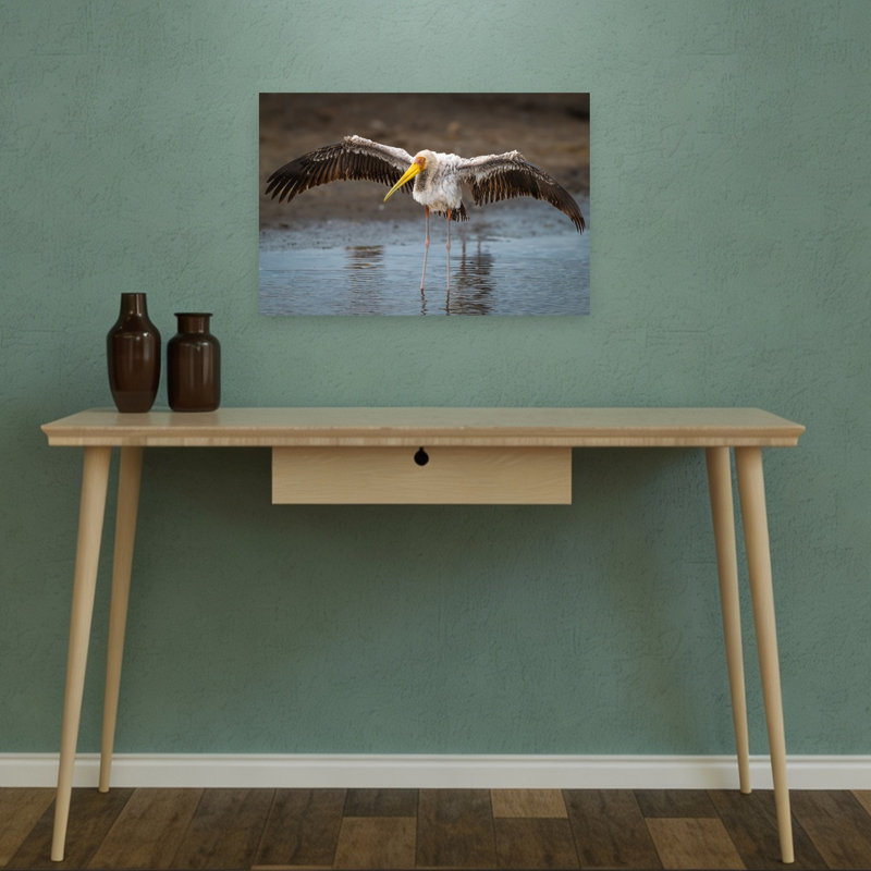 Yellow-Billed Stork Wading Serene Contemporary Bird Nature Wildlife Wall Art Print by Jeffrey C. Sink - 1 Piece Wrapped Canvas Wall Art