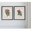 «Laurier Rose», ensemble de 2 reproductions d'impressions encadrées-28785850