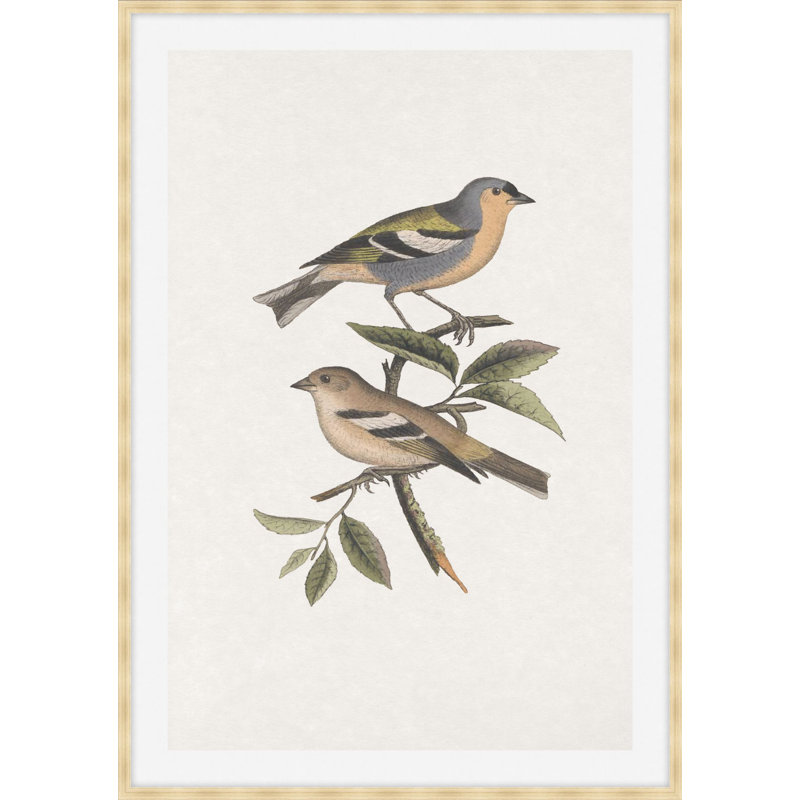Nesting Navigators Ivory 3 Print, 44.75" H x 31.75" W