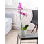  Vase en ciment Cracklestone Rustic