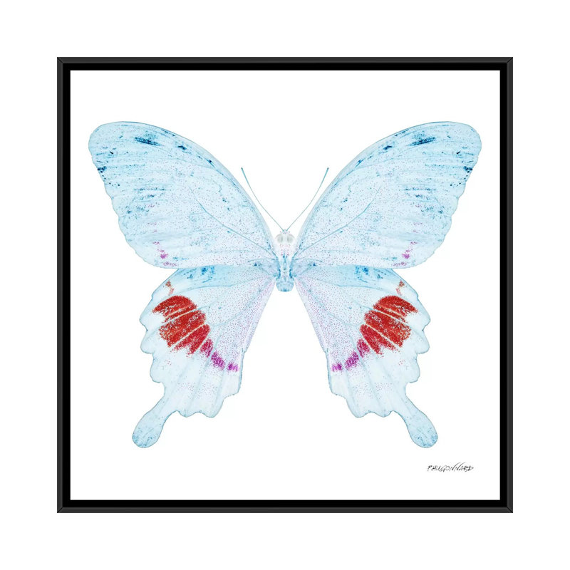 « miss papillon x-ray xxii », impression sur toile, H 18 po x l 18 po x P 1,5 po, Toile avec cadre noir