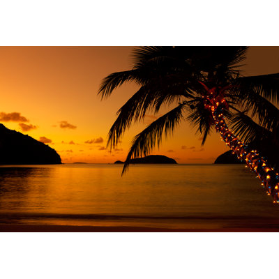 Christmas Lights On Palm Tree by Cdwheatley - No Frame Art Prints on Canvas