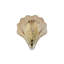 Akena Wallchiere-1034525935
