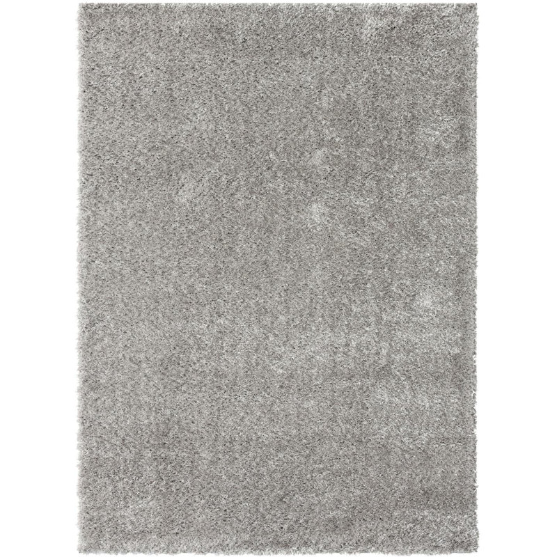 Indoor Rug