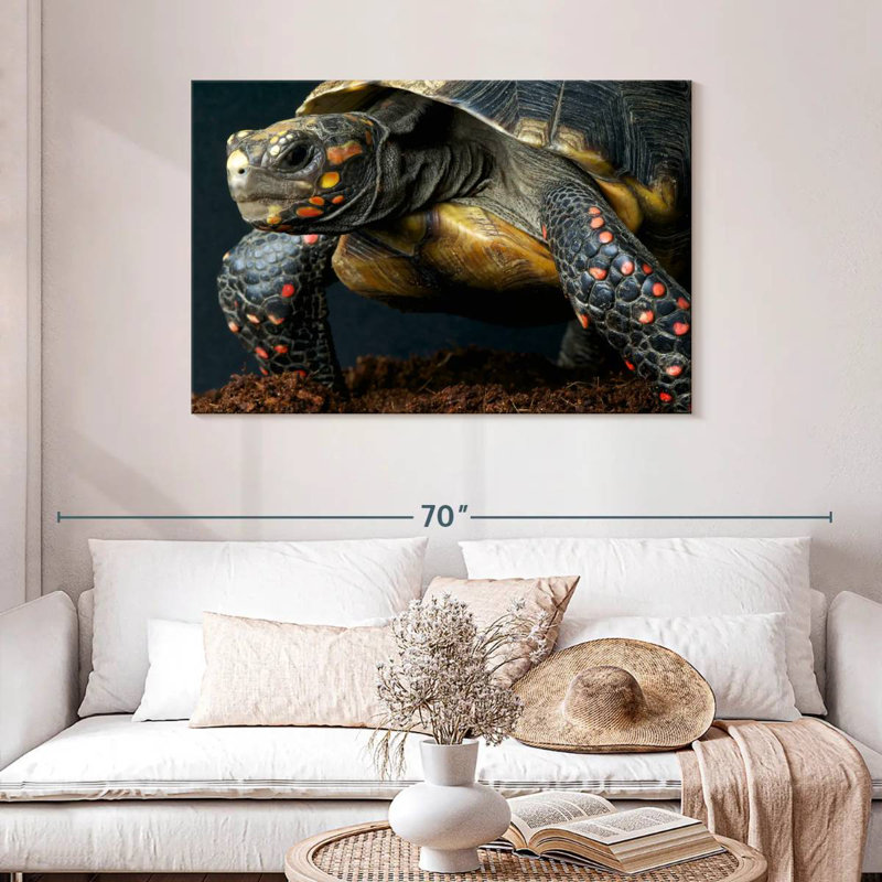 Red Footed Tortoise Species, 30" H x 45" W
