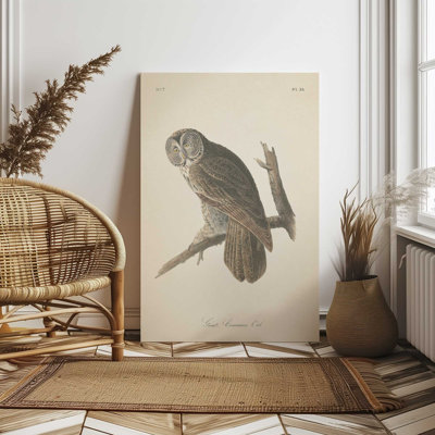 1Perched Owl Print on Rolled Canvas