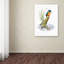 « kingfisher », reproduction d’impression sur toile tendue-21937642