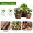 Edalene Wood Barrel Planter