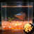 Orange est en rupture de stock
