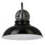 Luminaire de grange d'extérieur à 1 ampoule H 11,38 po Hamilton