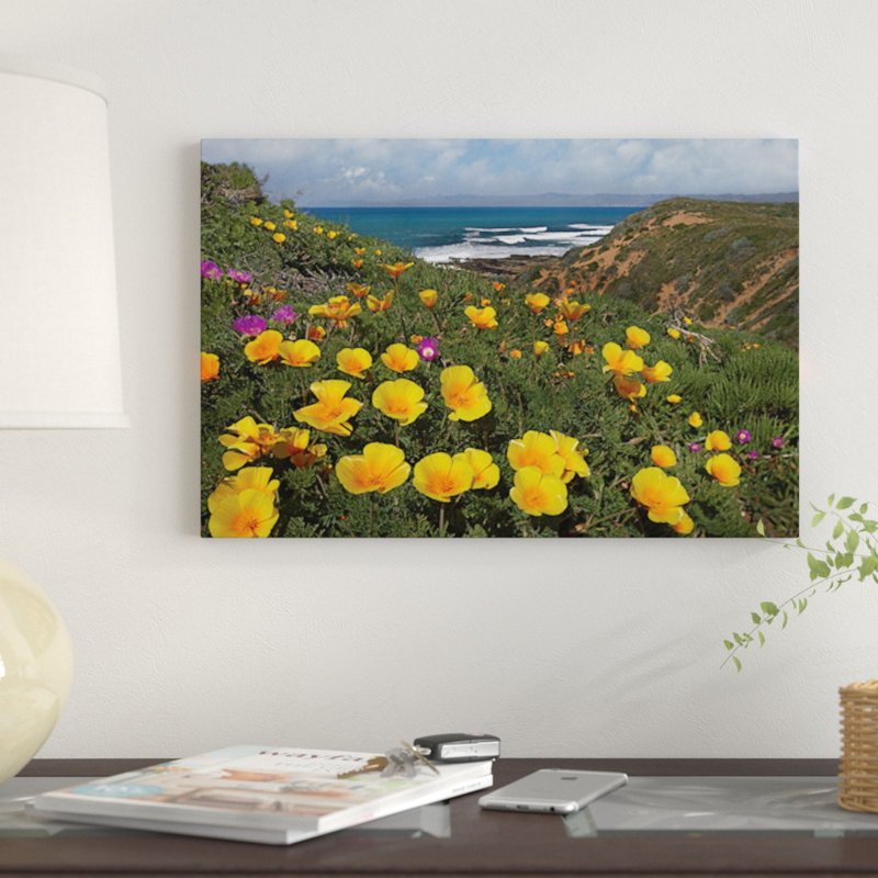«California Poppy Field» par Tim Fitzharris - reproduction d'art sur toile tendue, H 8 po x l 12 po x P 0,75 po