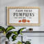 Farm Fresh Pumpkins - Toile encadrée de qualité supérieure - prête à être accrochée-88112749-88112745