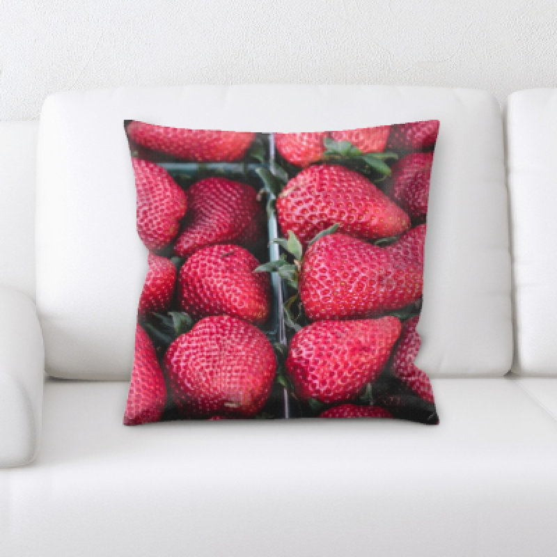 Coussin pour aliments Lang