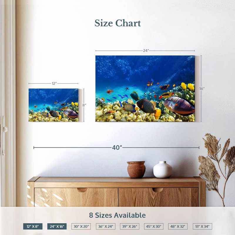 Brampt Marine Life, H 16 po x l 24 po