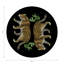 Sous-verres ronds en cuir vegan noir Leopard-119015241