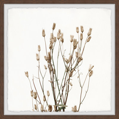 Jaleyah Brown Branches by Marmont Hill - Single Picture Frame Painting