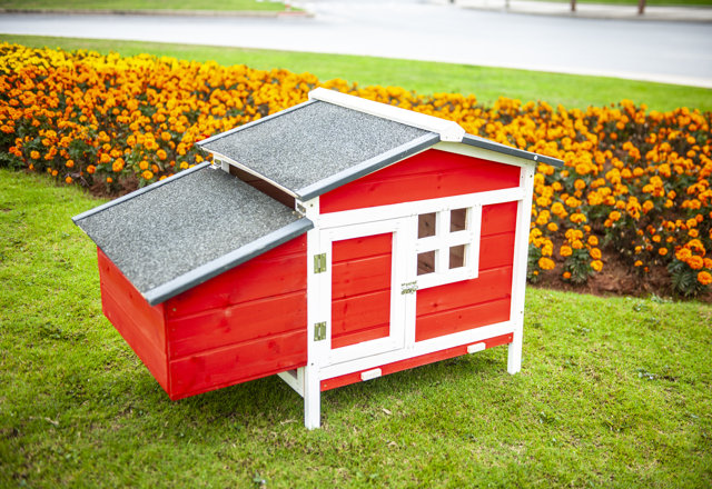 Chicken Coops You'll Love