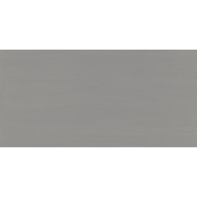 Refinery 24'' W x 48'' L Porcelain Singular Tile