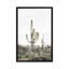 « rosé timide cactus », photographie-43719289-43719294