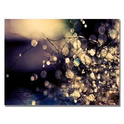 «Fairies in My Garden», reproduction de photo sur toile en noir / or