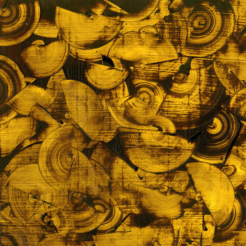 Nautilus In Gold I by Sharon Gordon - Wrapped Canvas Print, 30cm H x 30cm W
