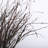 36" Birch Twigs Decorative Branches