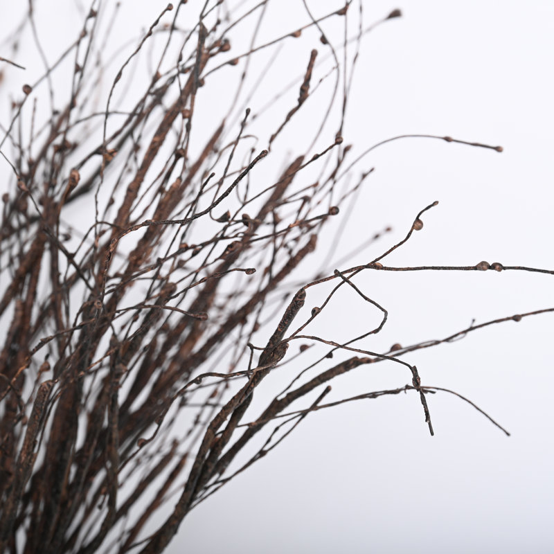Natural 17" Birch Twigs for Rustic Decor and Crafts