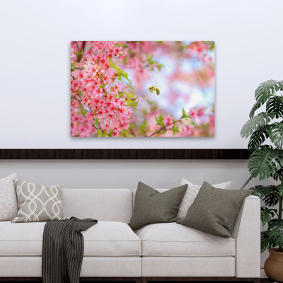 Abeille fantaisiste et cerisier - Photographie florale et de nature morte, animaux, faune