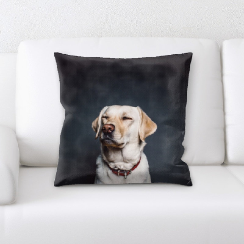 Aiden Microsuede Reversible Throw Pillow