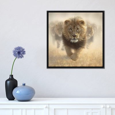 " Eat My Dust - Lion, Square " by Collin Bogle