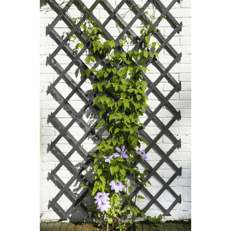 Nature Garden Trellis Wood, Green, 150cm H x 50cm W