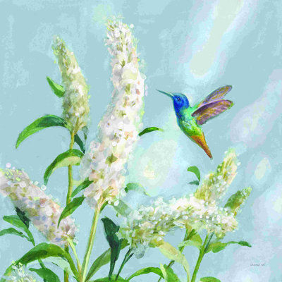 Colibri printemps II bleu tendre