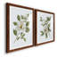 «Magnolia Morning I», reproduction encadrée de qualité supérieure - prête à être accrochée-152898346-152898348