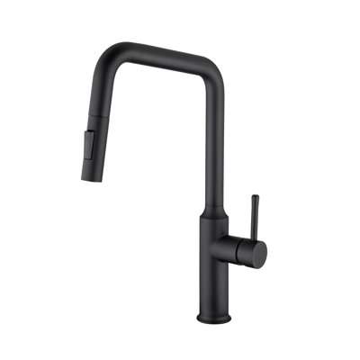 Rainlex Pull Down Kitchen Faucet