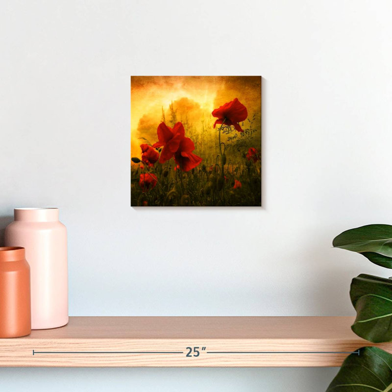 Coquelicots rouges Harnek au coucher du soleil, H 10 po x l 10 po