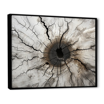 «Tree Cut Stump Beauty I», reproduction sur toile