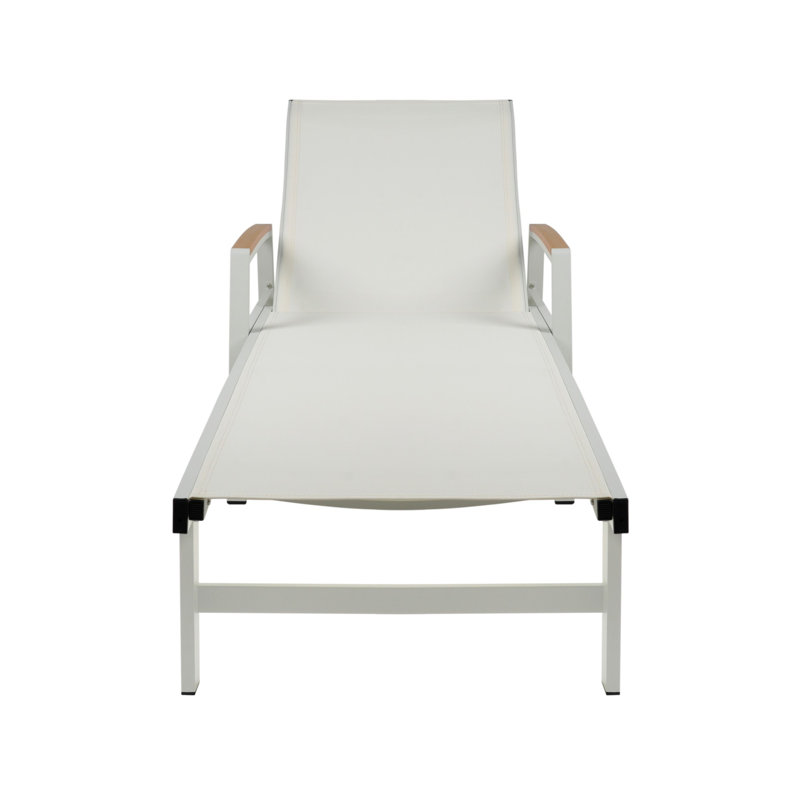 Outdoor Chaise Lounge Chair, 1, Grey