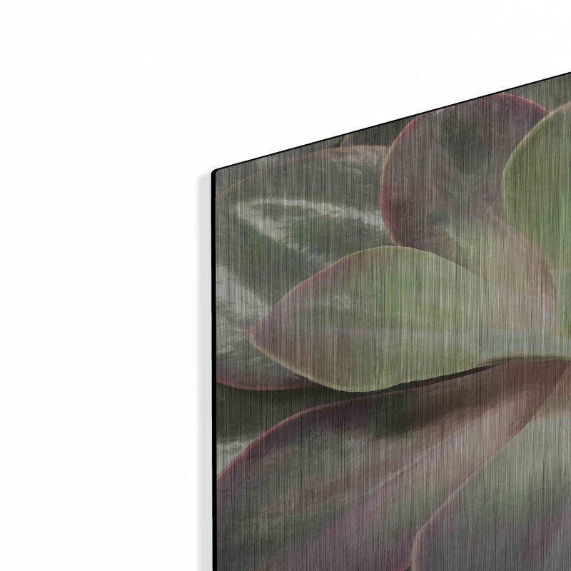 «Glowing Succulent I» par Lori Deiter, H 16 po x l 24 po
